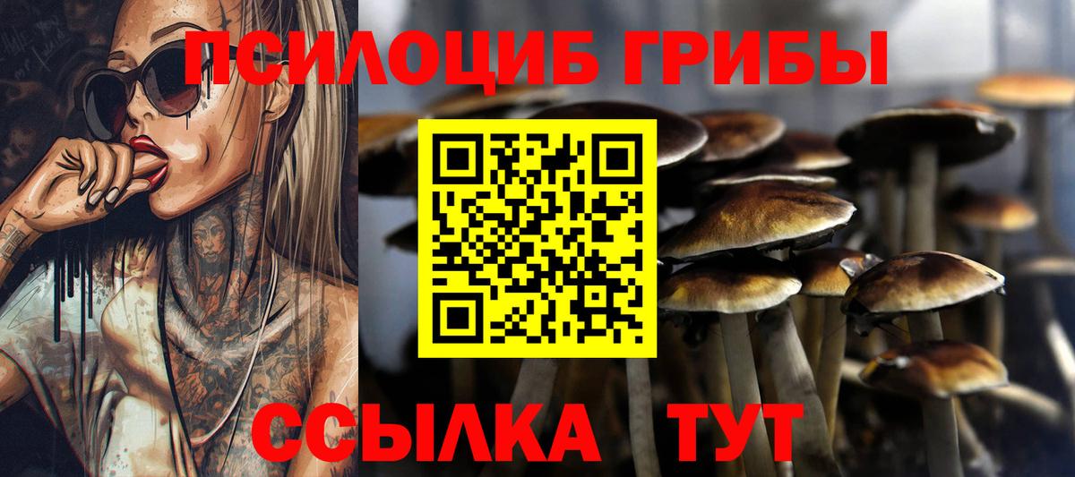 Новый Уренгой  Галлюциногенные грибы MAGIC MUSHROOMS  Вход с VPN 