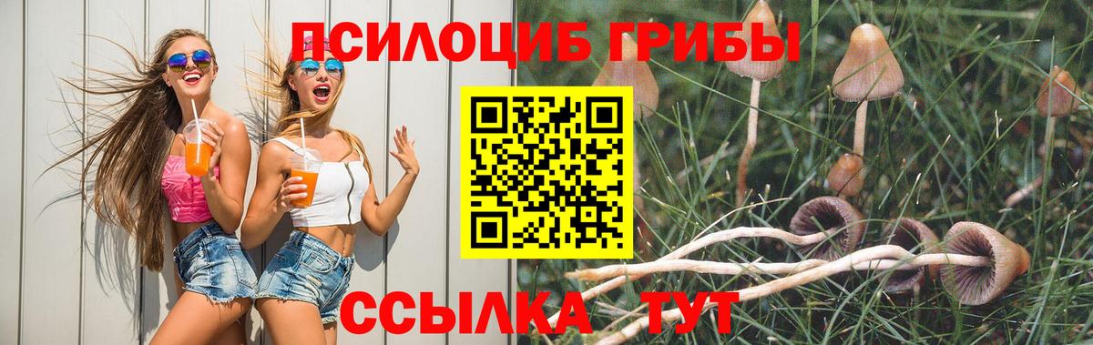 ЭКСТАЗИ  КОКАИН  ГАШИШ  Бошки Шишки  Вход с VPN  A PVP СК   Гашиш  Новый Уренгой  Меф кристаллы 